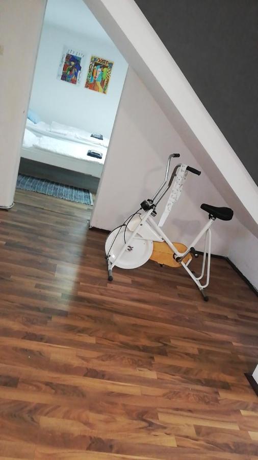 Apartman Romy Pančevo 部屋 写真
