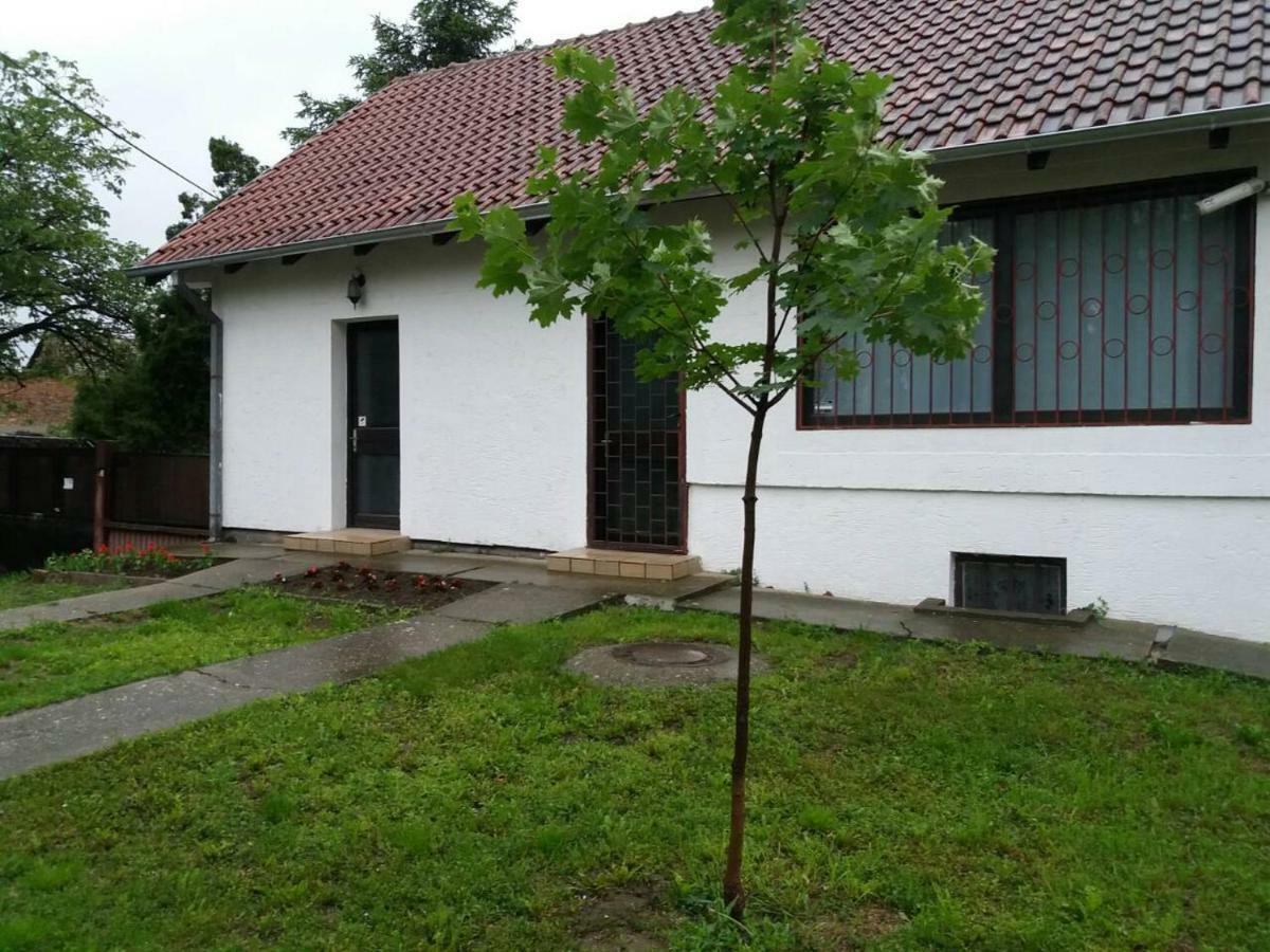 Apartman Romy Pančevo エクステリア 写真