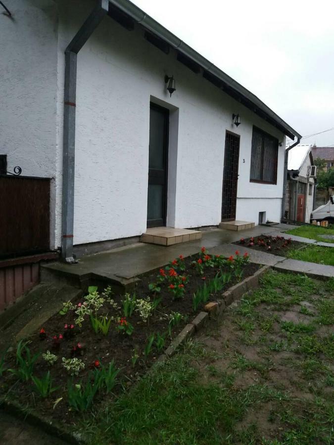 Apartman Romy Pančevo エクステリア 写真