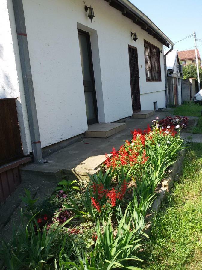 Apartman Romy Pančevo エクステリア 写真